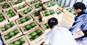 農(nóng)副產(chǎn)品進(jìn)口報關(guān)是指哪些物品？